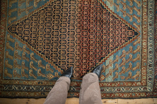 Full overhead view of Hamadan rug 4x5.5