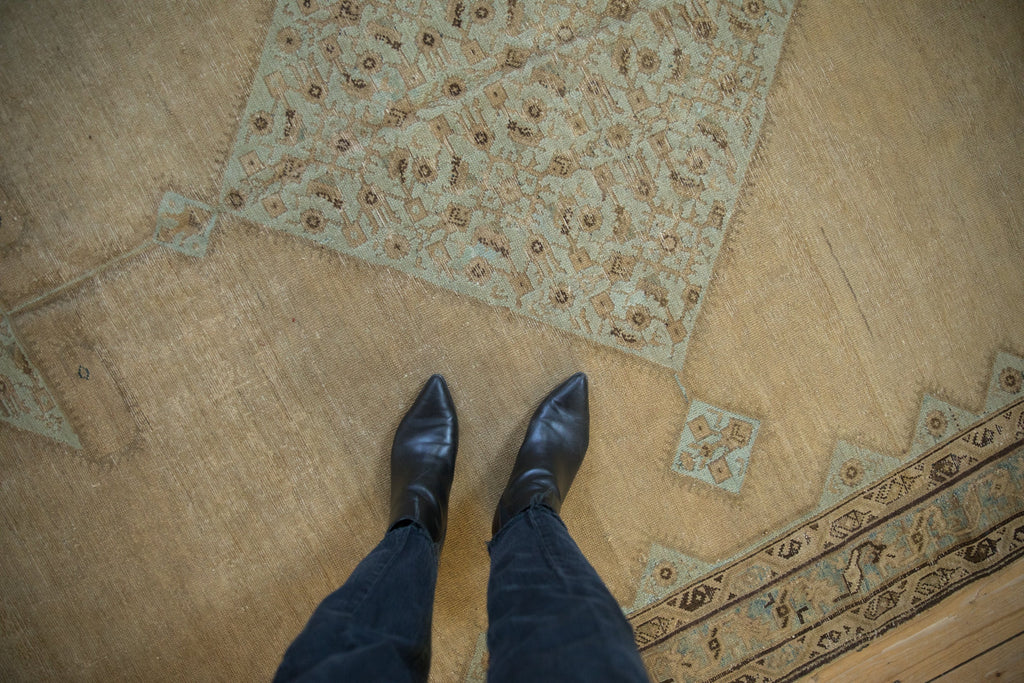 Full overhead view of Malayer carpet 7x16