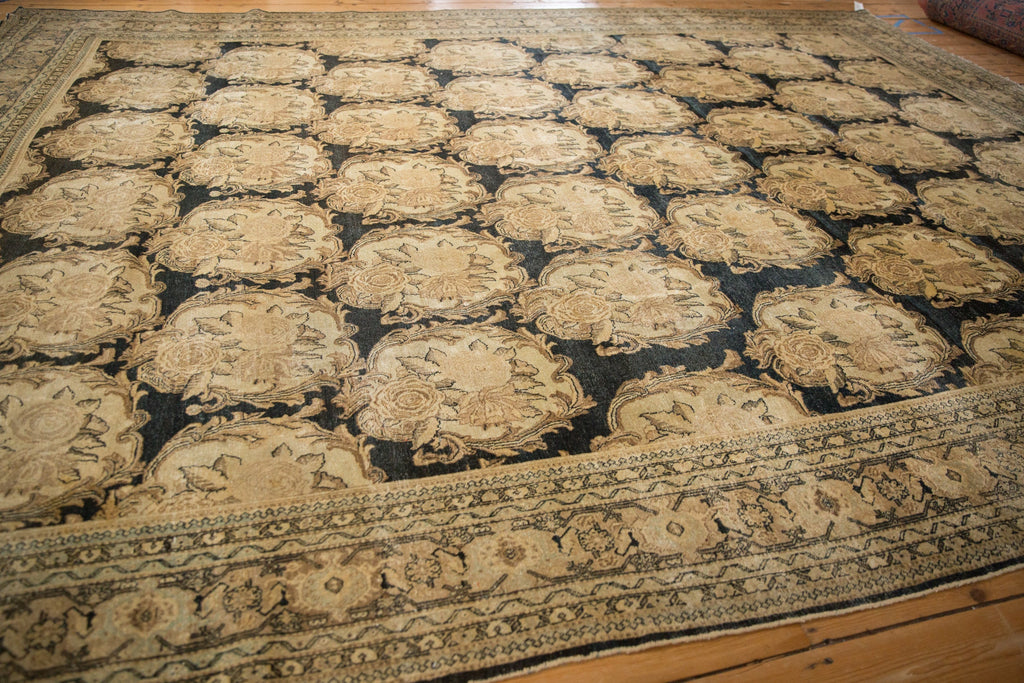 Rolled view showing overall scale