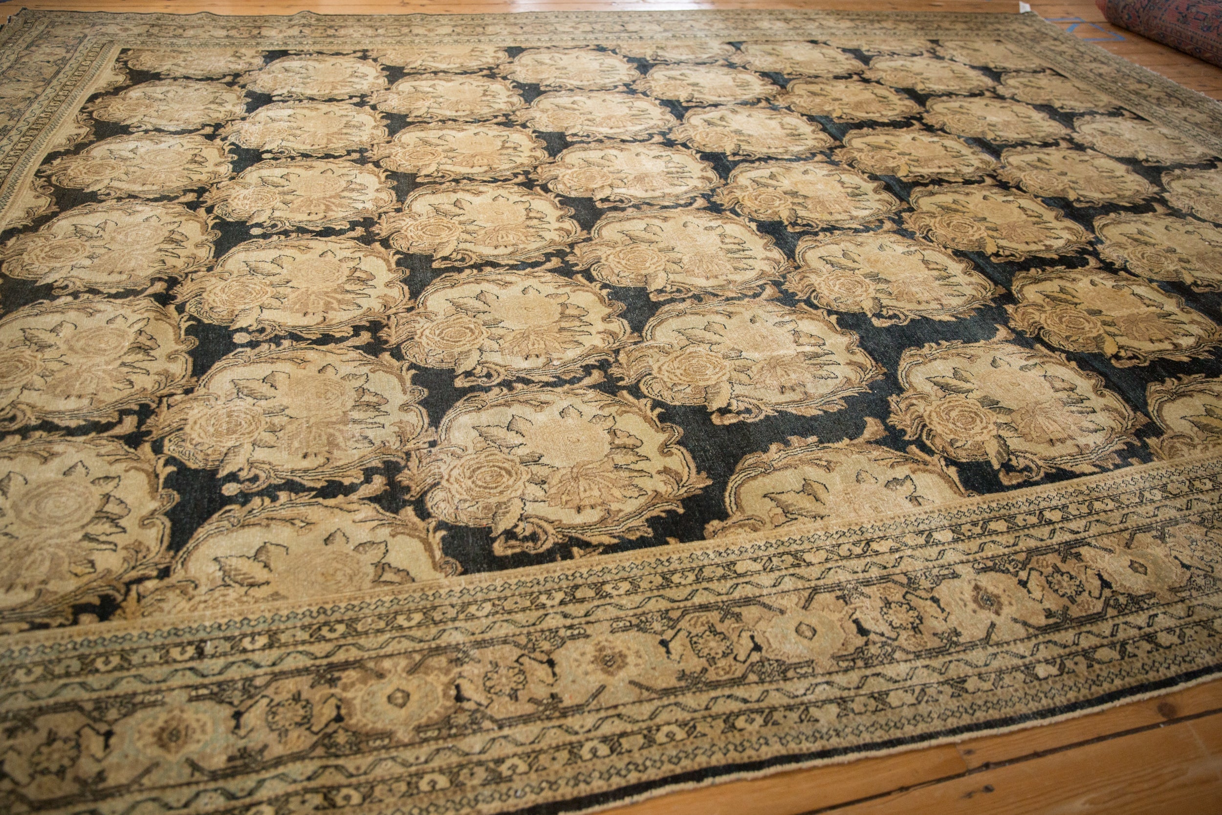 Rolled view showing overall scale