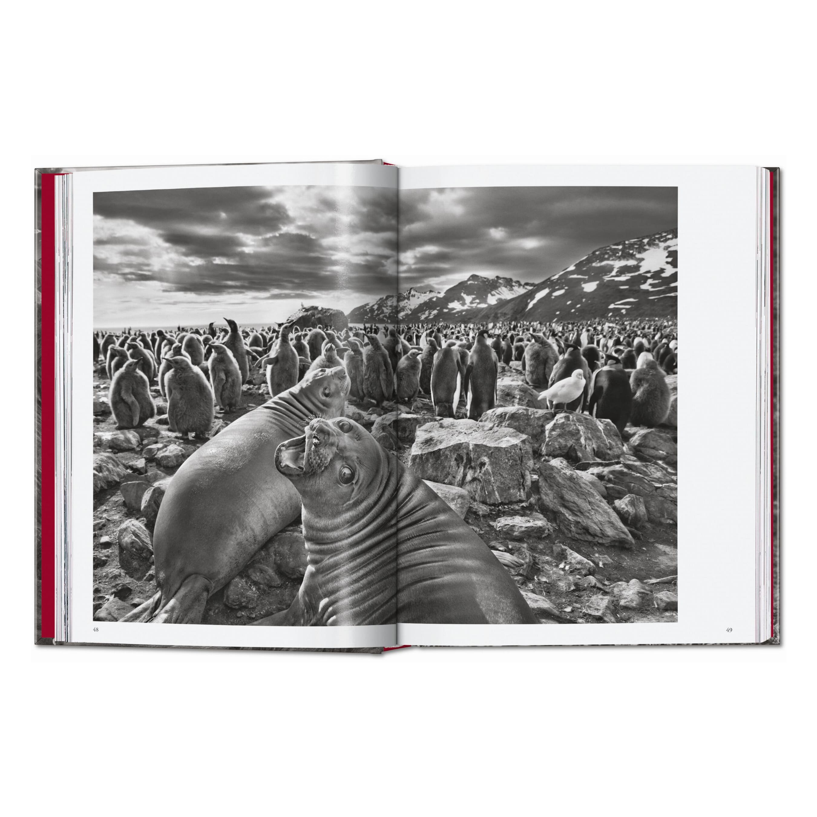 Sebastião Salgado. Genesis. 45th Ed. (English)