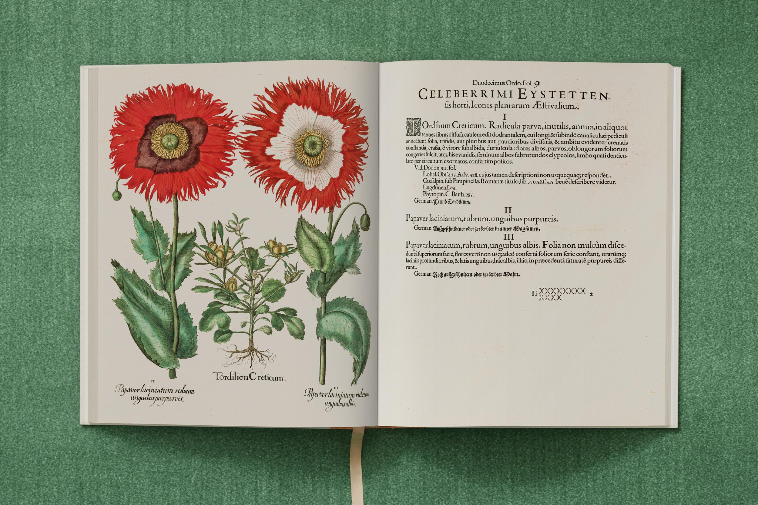 Basilius Besler. The Garden at Eichstätt (German, French, English) (FFE)