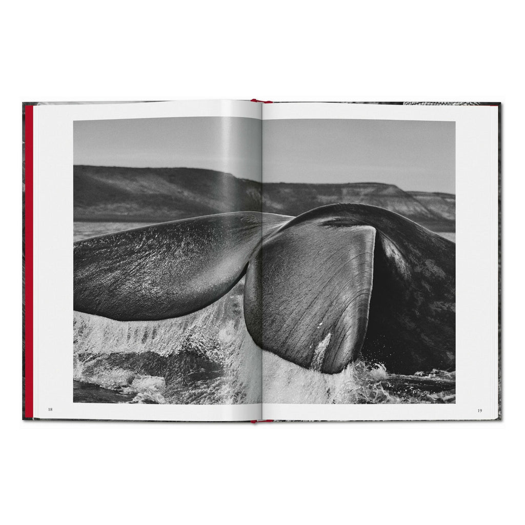 Sebastião Salgado. Genesis (English)