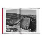 Sebastião Salgado. Genesis (English)