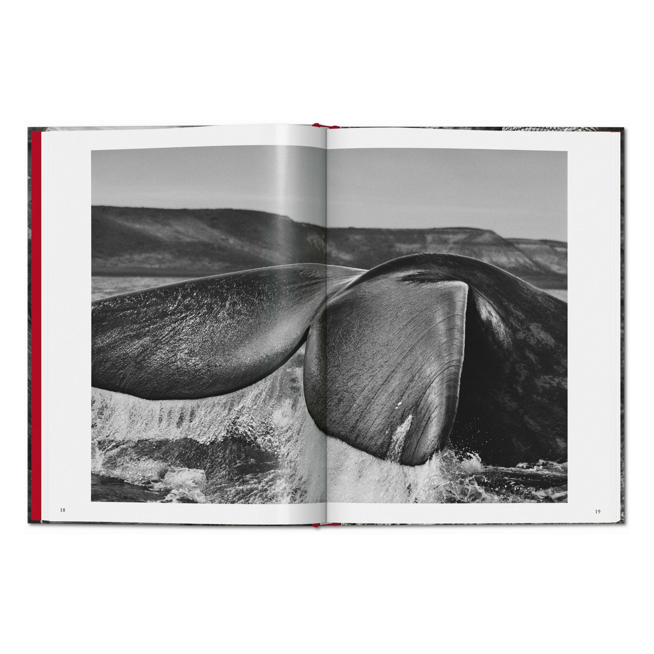 Sebastião Salgado. Genesis (English)