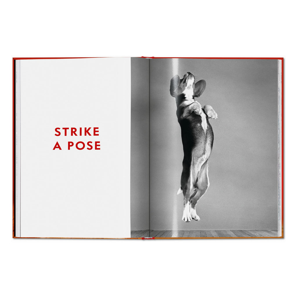 Walter Chandoha. Dogs. Photographs 1941–1991 (English)
