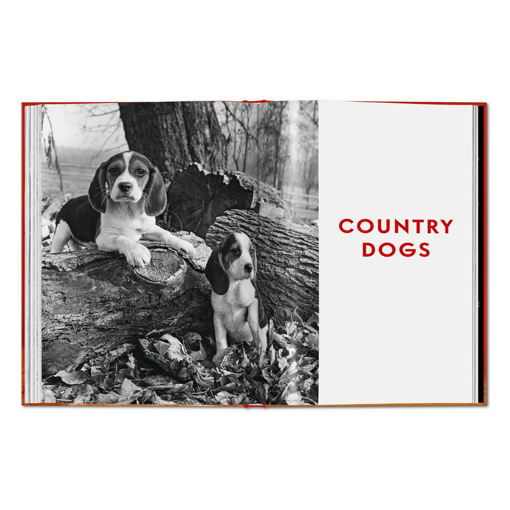 Walter Chandoha. Dogs. Photographs 1941–1991 (English)