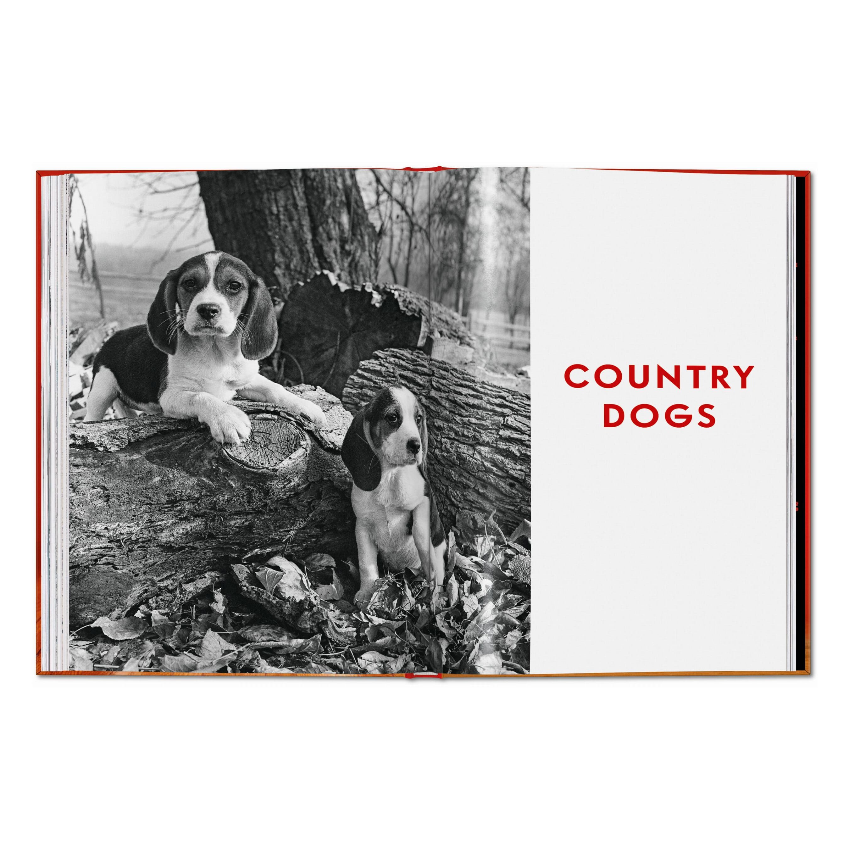 Walter Chandoha. Dogs. Photographs 1941–1991 (English)