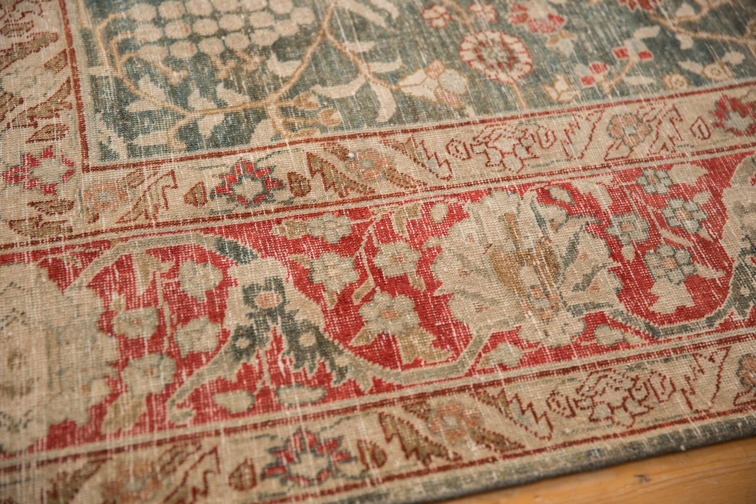 Rolled view showing overall scale