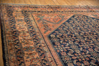 Full overhead view of Lilihan carpet 12x18.5