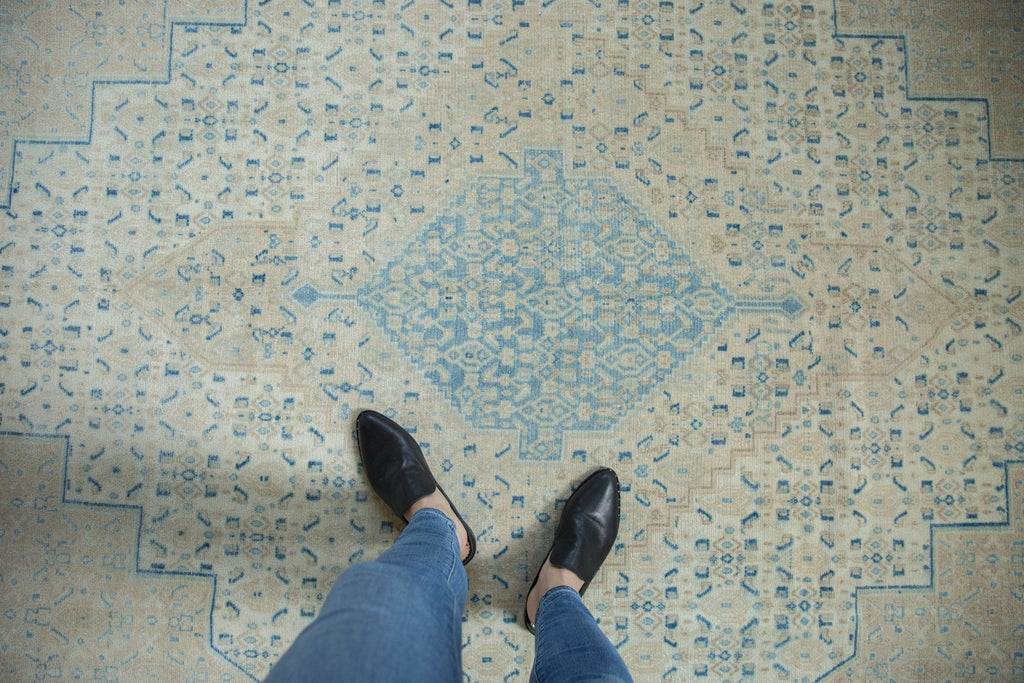 Full overhead view of Birjand carpet 7x9.5