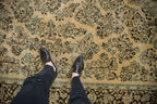 Full overhead view of Arak carpet 8.5x11.5