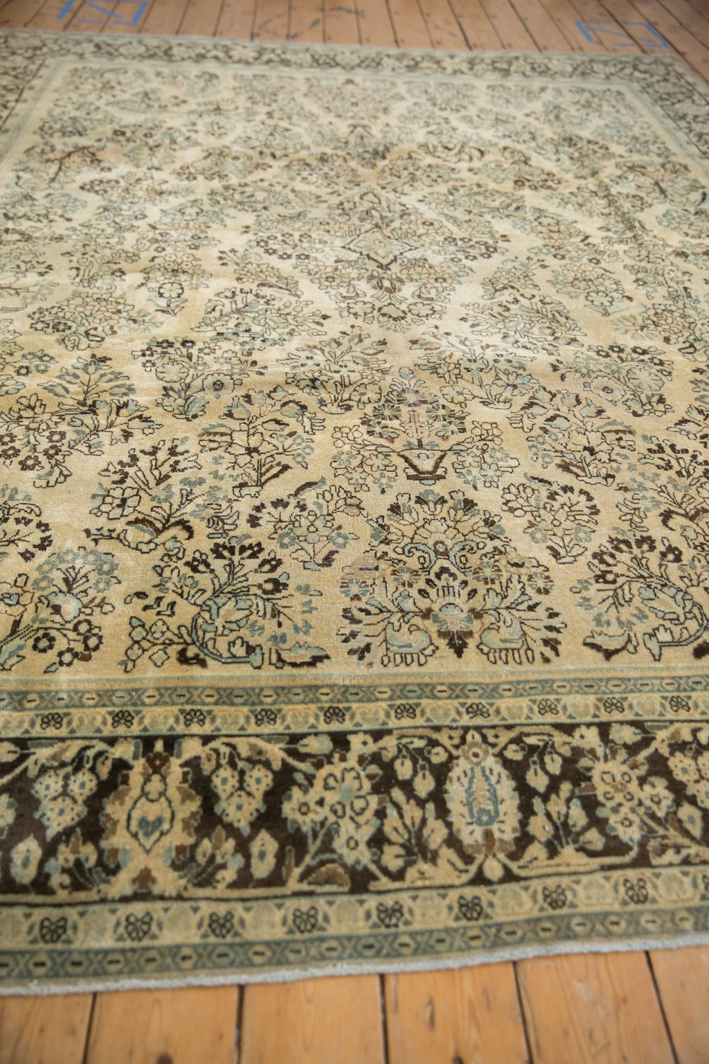 Rolled view showing overall scale