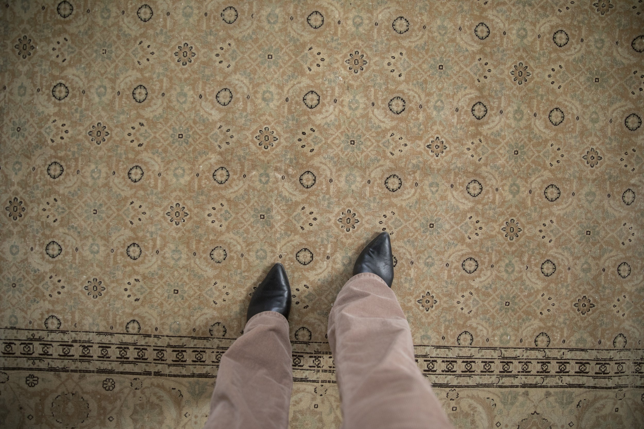 Full overhead view of Tabriz carpet 8x11.5