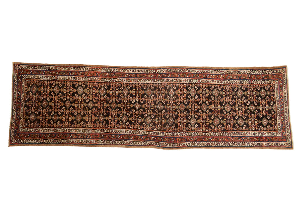 Antique Hamadan Runner 3.5x11.5, hand-knotted one of a kind piece