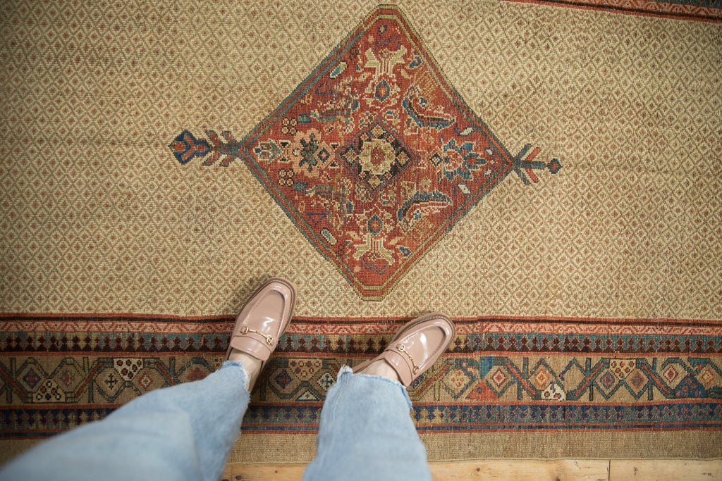 Full overhead view of Serab runner 4.5x10