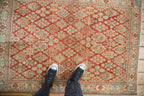 Full overhead view of Joshegan rug 3.5x5