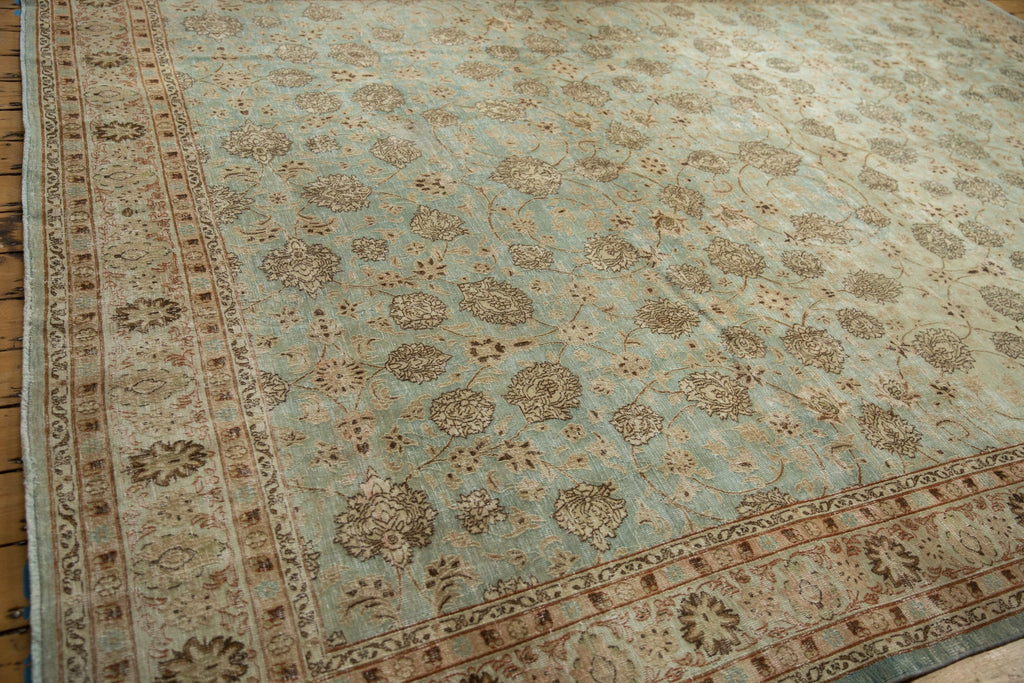 Full overhead view of Meshed carpet 9.5x13