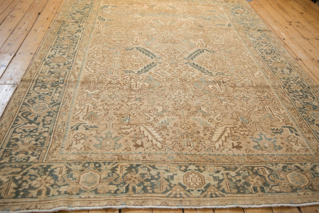 Rolled view showing overall scale
