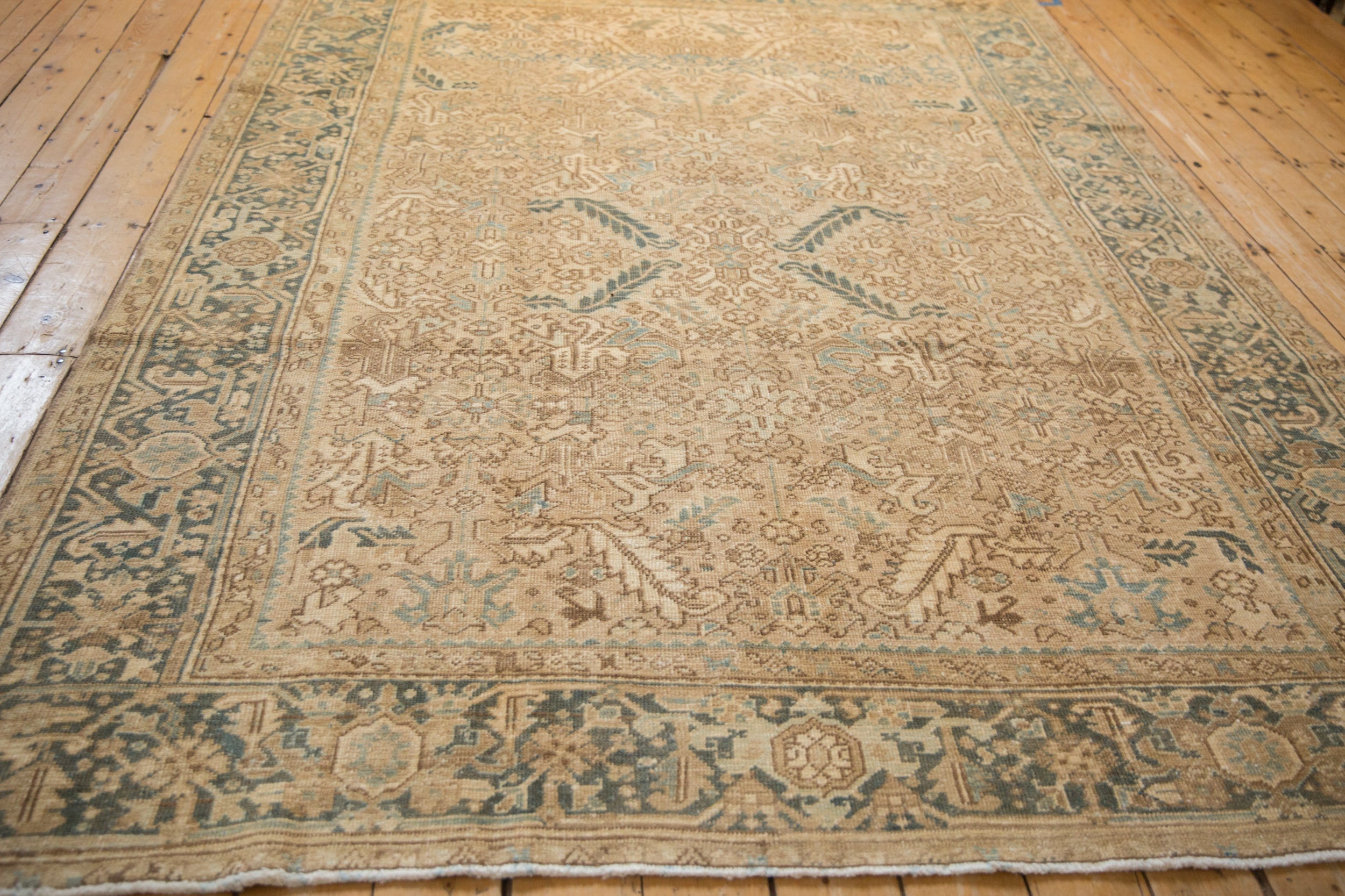 Rolled view showing overall scale
