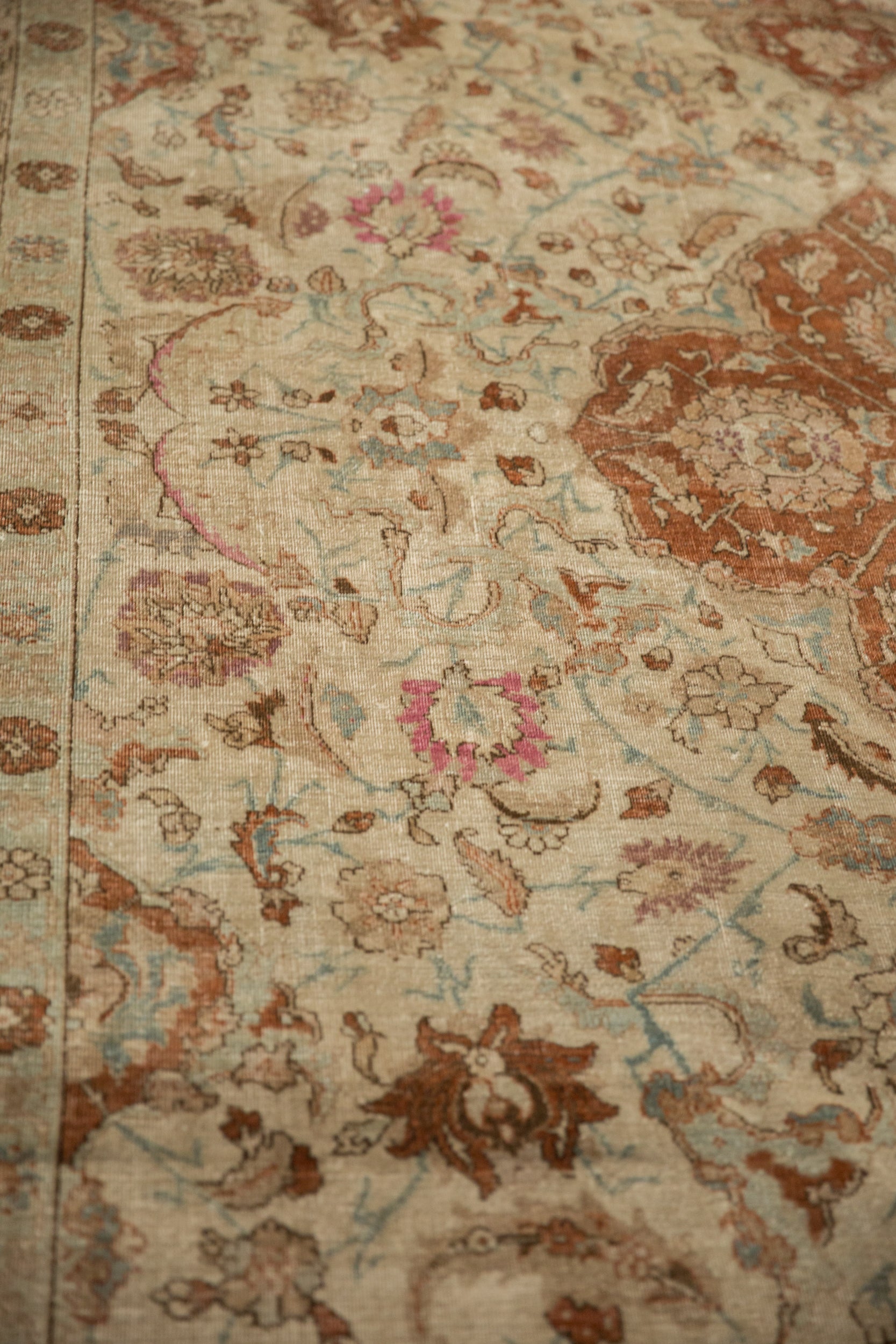 Rolled view showing overall scale