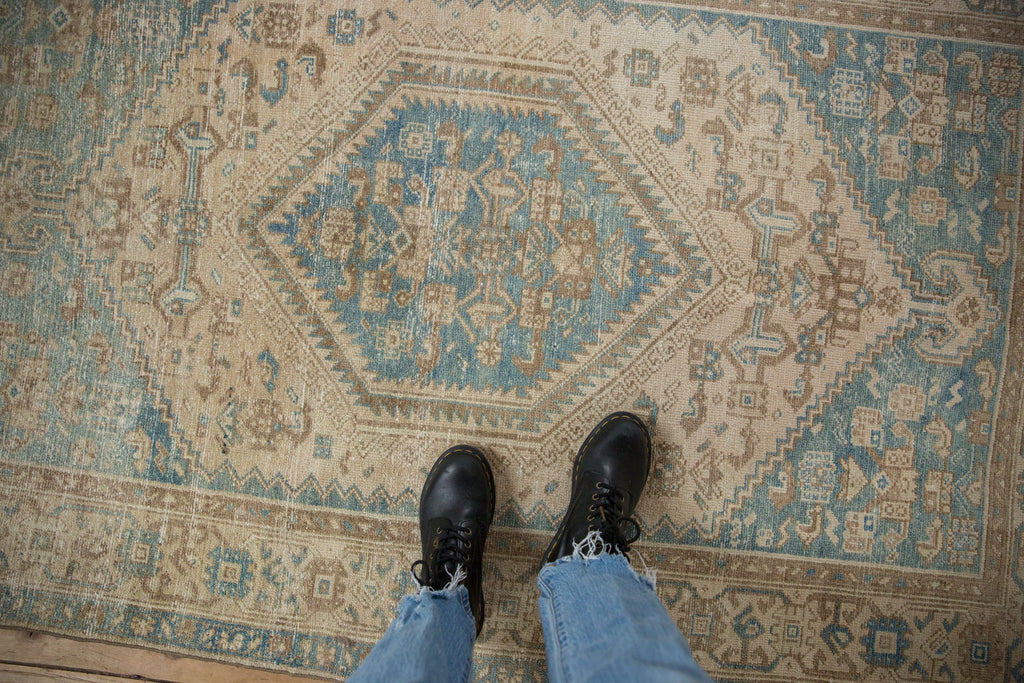 Full overhead view of Hamadan rug 4x6