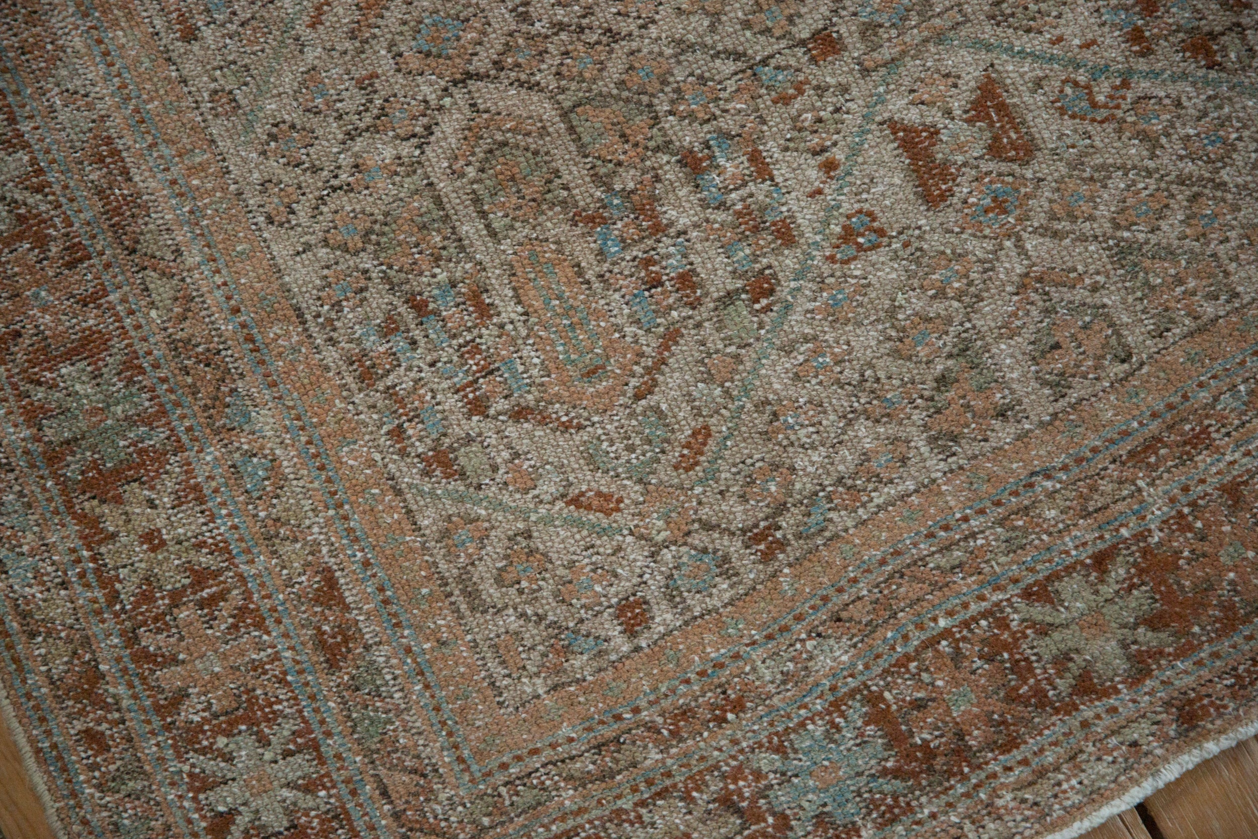 Rolled view showing overall scale