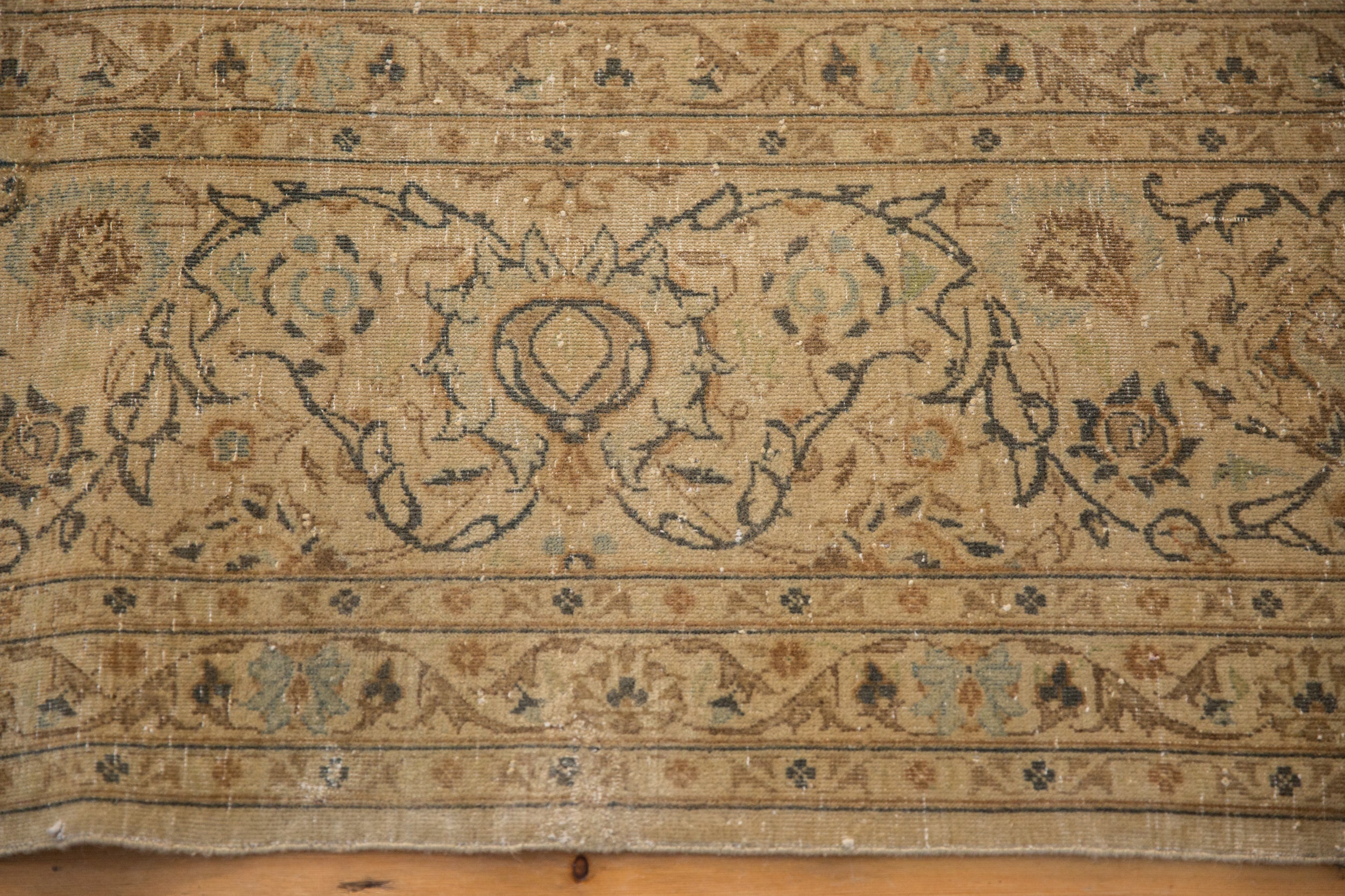 Rolled view showing overall scale