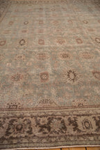 Rolled view showing overall scale