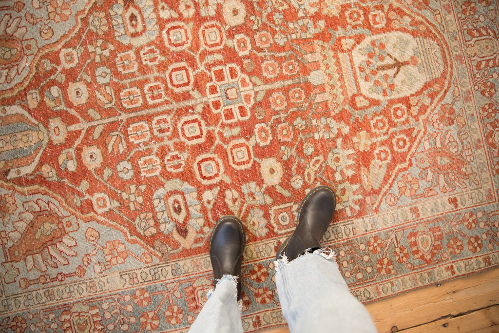 Full overhead view of Baktiari rug 4.5x6.5