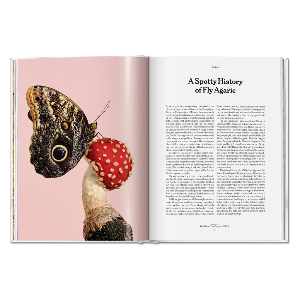 The Gourmand's Mushroom. A Collection of Stories and Recipes (English)