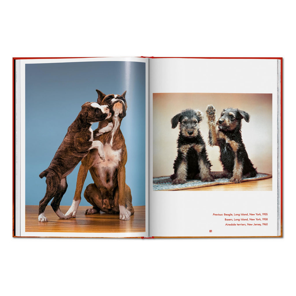 Walter Chandoha. Dogs. Photographs 1941–1991 (English)