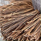 Flower Pot Brush - Made in Germany