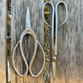 Garden Gift Box - Stainless Garden Scissor Set