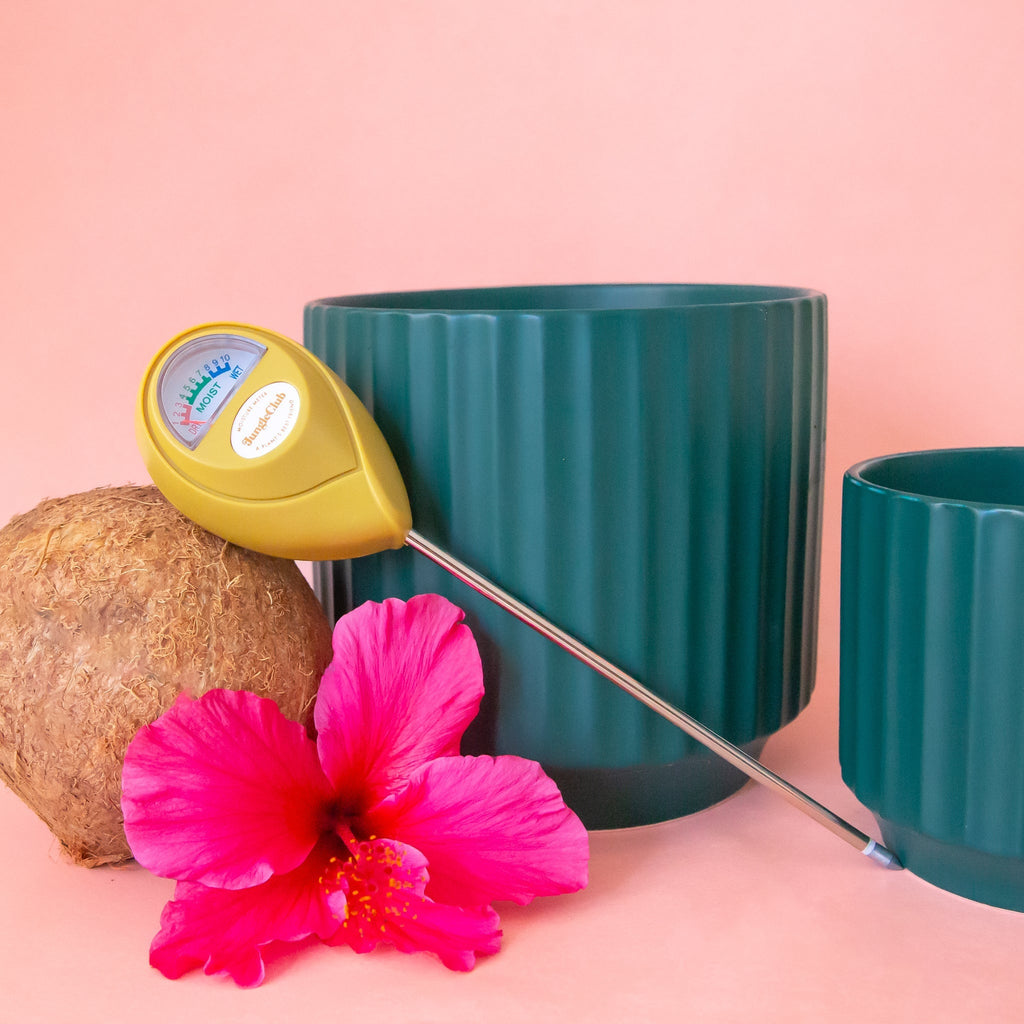 Moisture Meter | Tropical Green