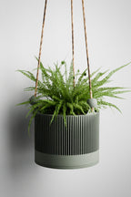 Hanging Sakura Planter from Modernized Pottery