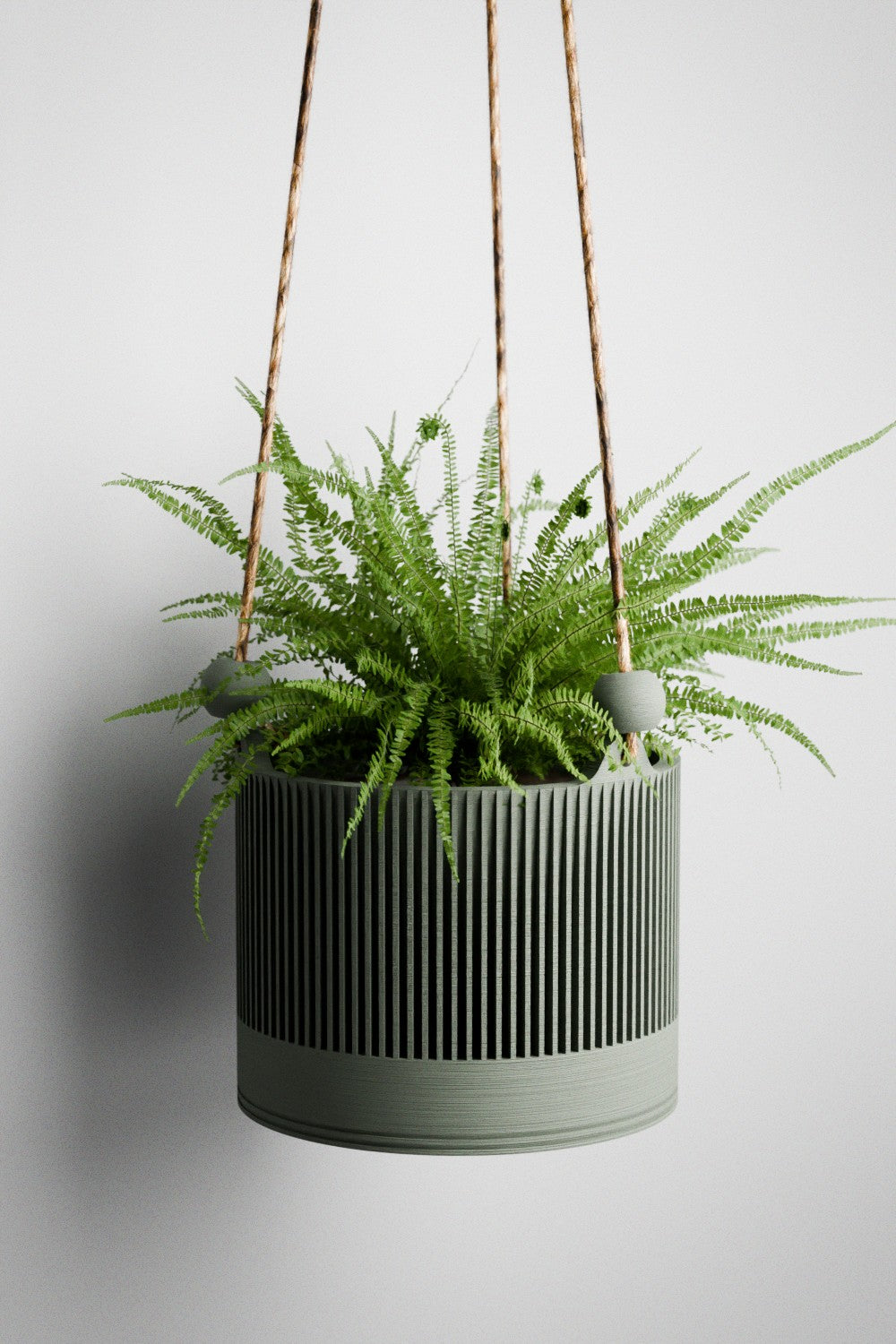 Hanging Sakura Planter from Modernized Pottery