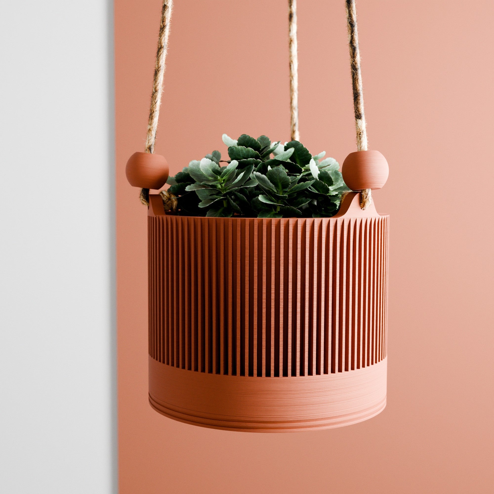 Hanging Sakura Planter from Modernized Pottery