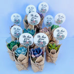 Let Love Grow - Wedding, Bridal Shower , Engagement Party Live Succulent Favors for Guests