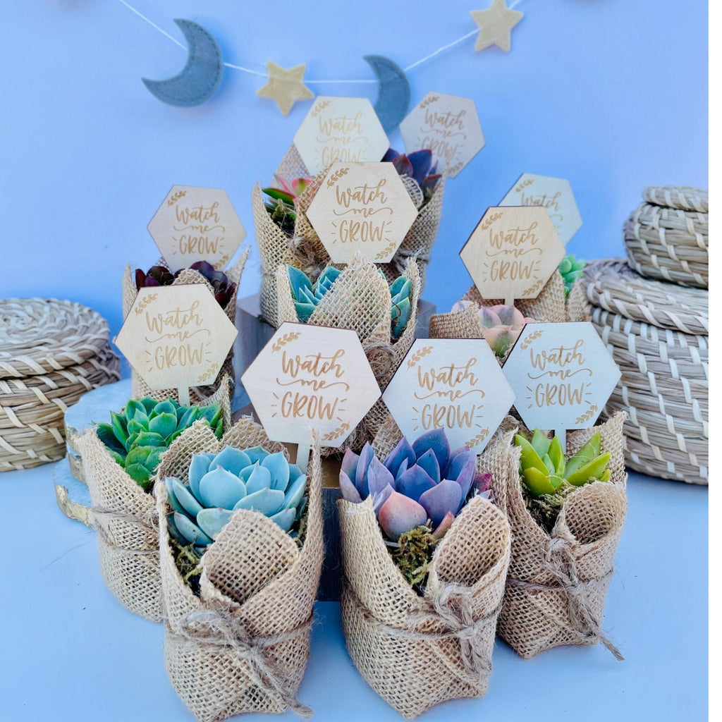 Watch Me Grow Baby Shower Favors - Live Succulent Favors for Baby Showers