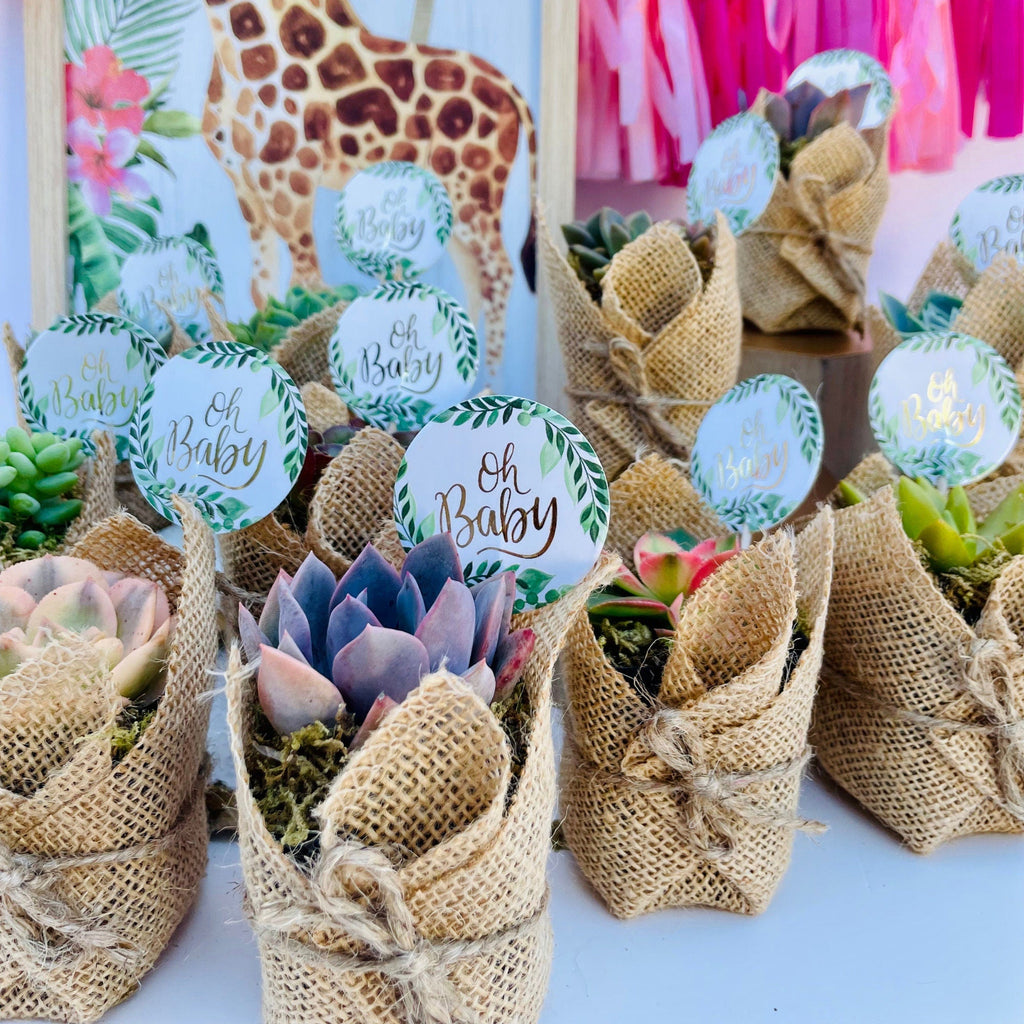Oh Baby! -  Live Succulent Baby Shower Favors