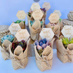 Watch Me Grow Baby Shower Favors - Live Succulent Favors for Baby Showers