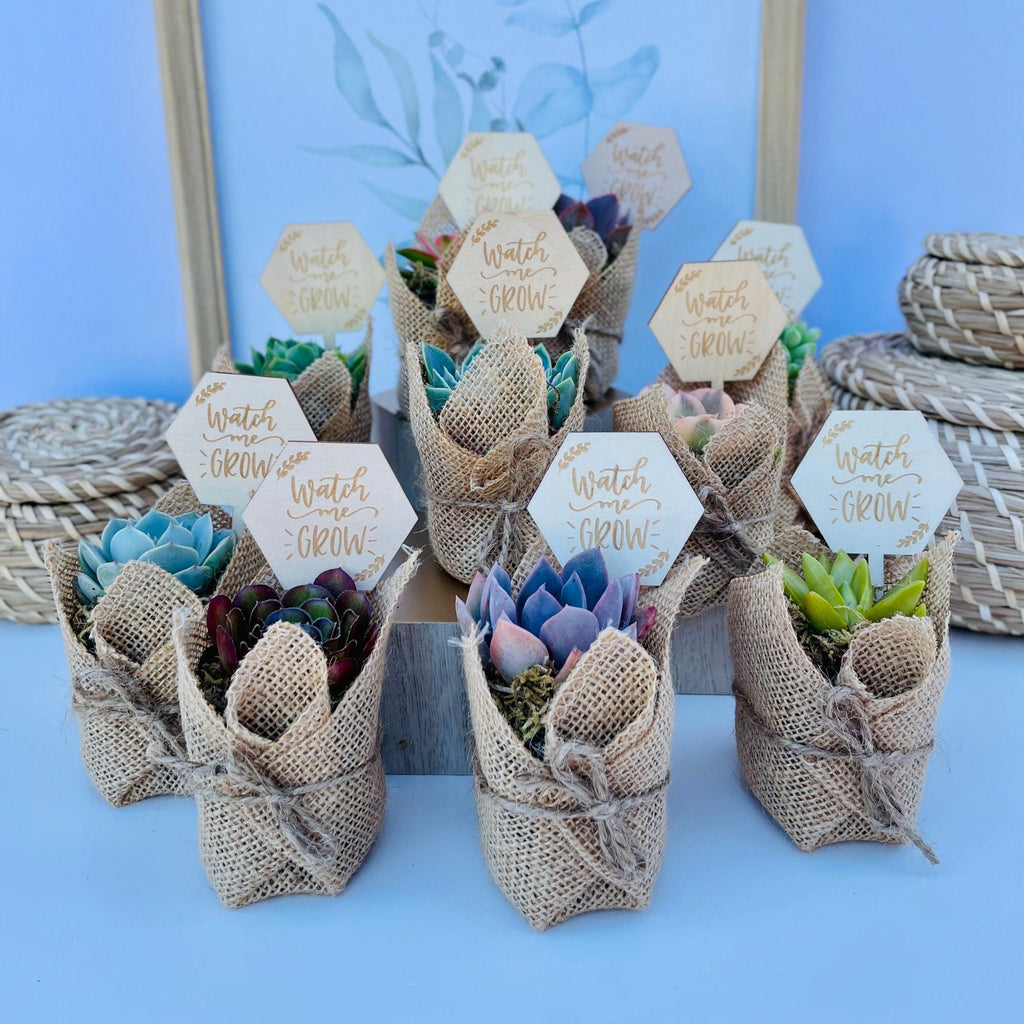 Watch Me Grow Baby Shower Favors - Live Succulent Favors for Baby Showers
