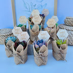 Watch Me Grow Baby Shower Favors - Live Succulent Favors for Baby Showers