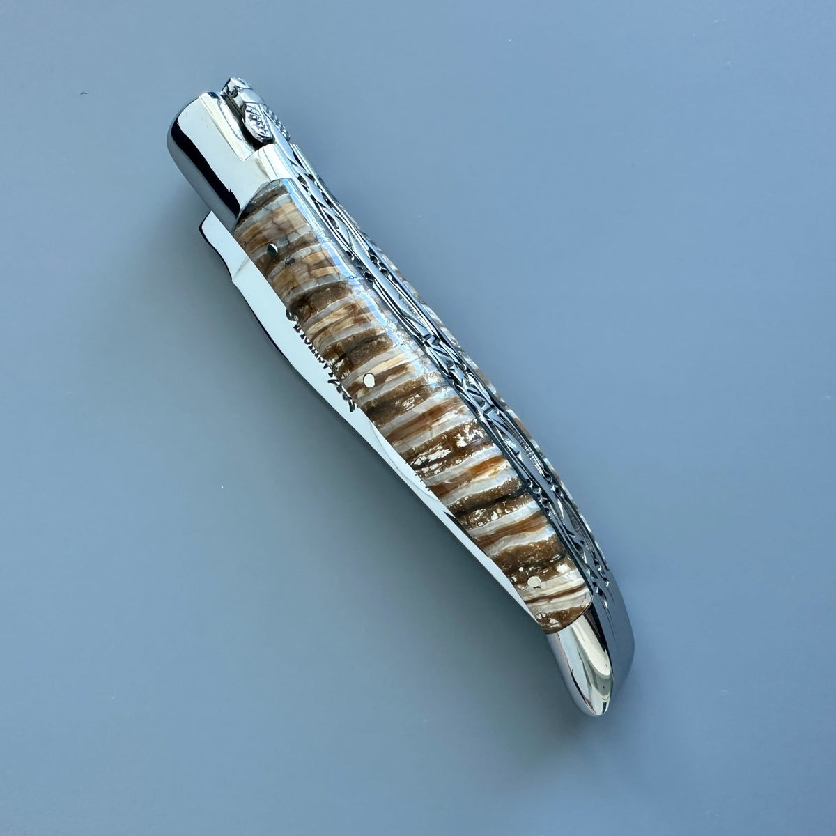 Close view of the layered molar handle and filed plates