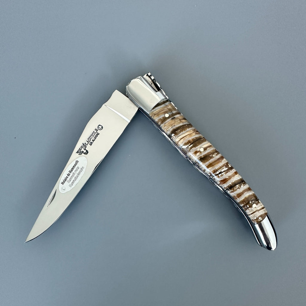 Knife half open showing the polished blade and banded molar handle