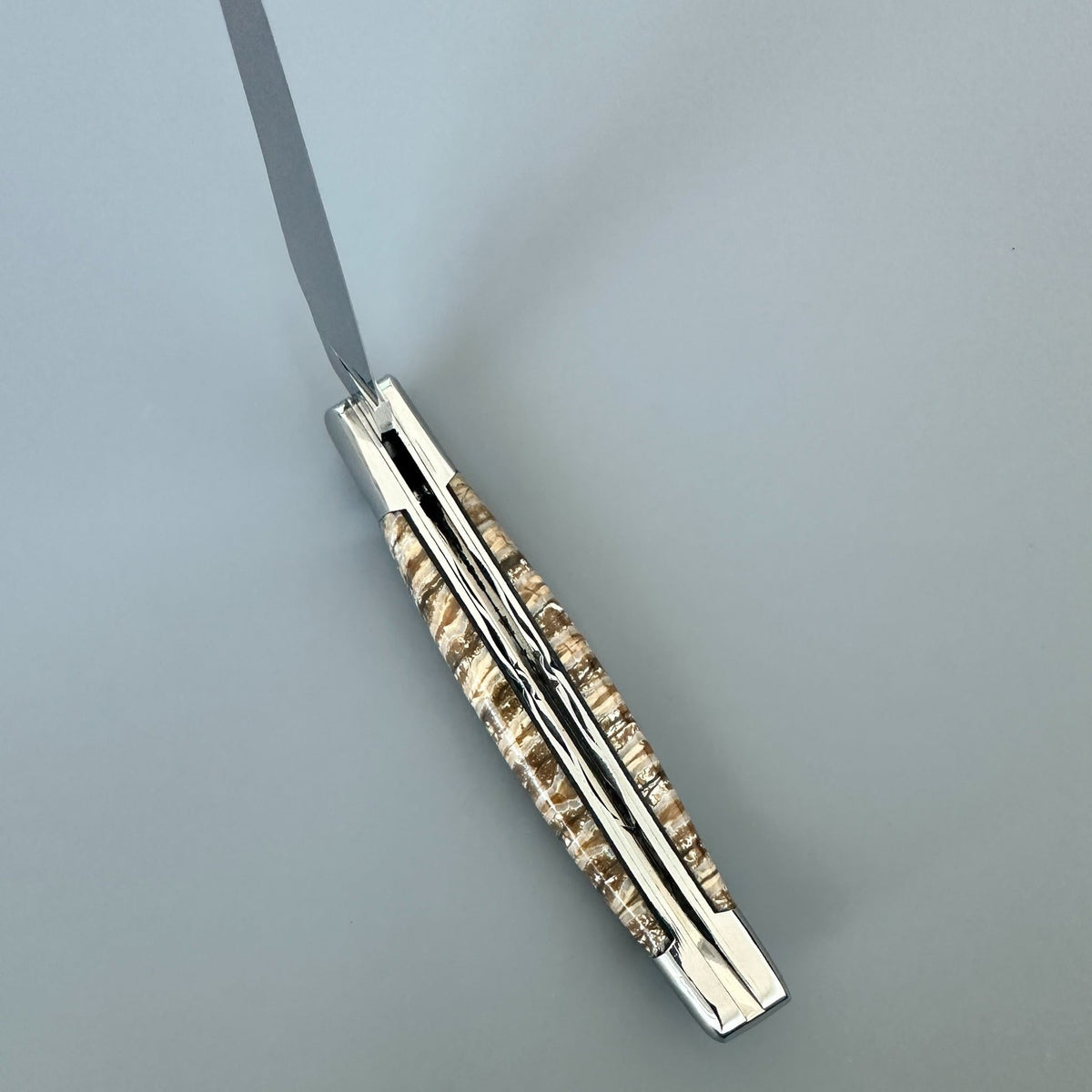 Knife seen along the back showing the hand-filed double plates