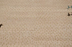 Back of the hand-knotted rug showing construction