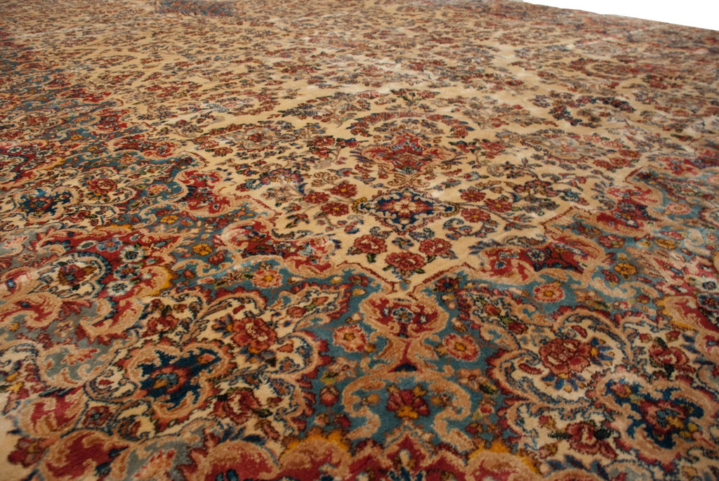 Rolled view showing overall scale