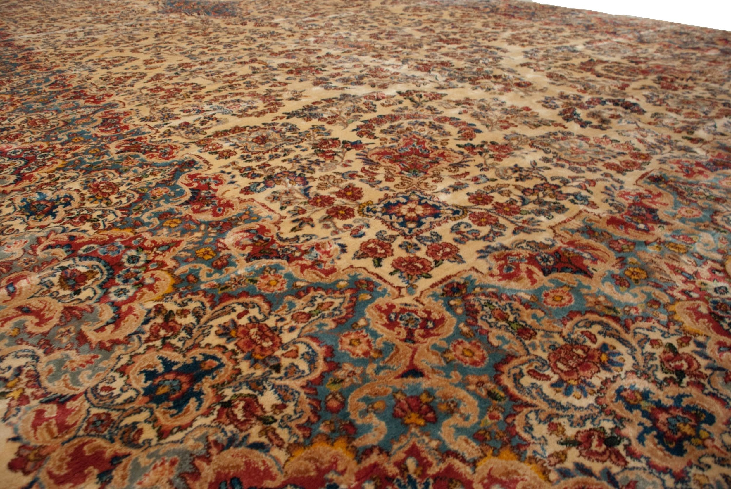 Rolled view showing overall scale